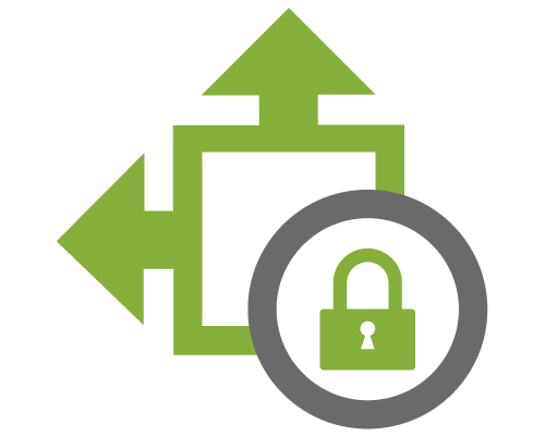 Security-Level-icon